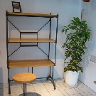 MN_shelf_09_01s.jpg