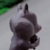 MD_squirrel_1007_04ssss.jpg